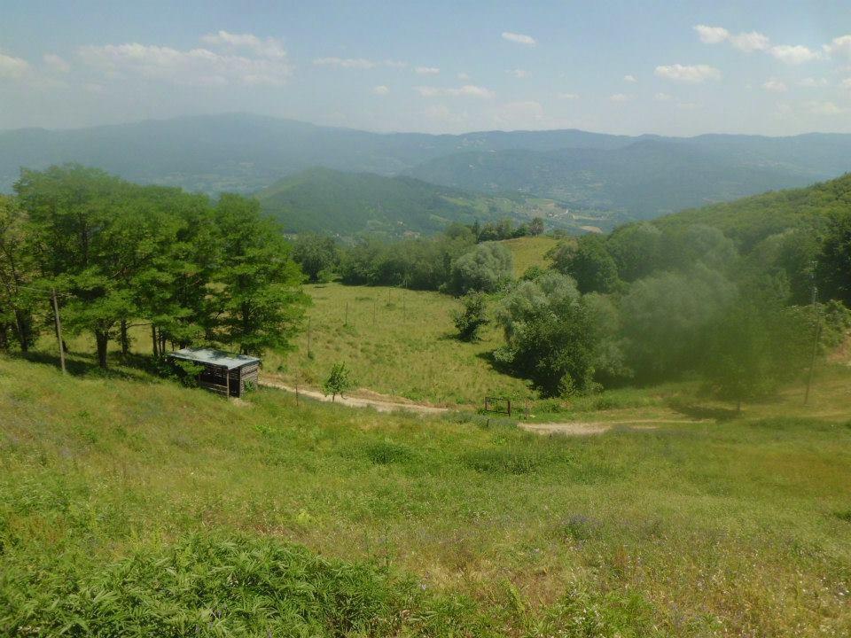 Отель Bottega Di Montegiovi Scopeti Экстерьер фото