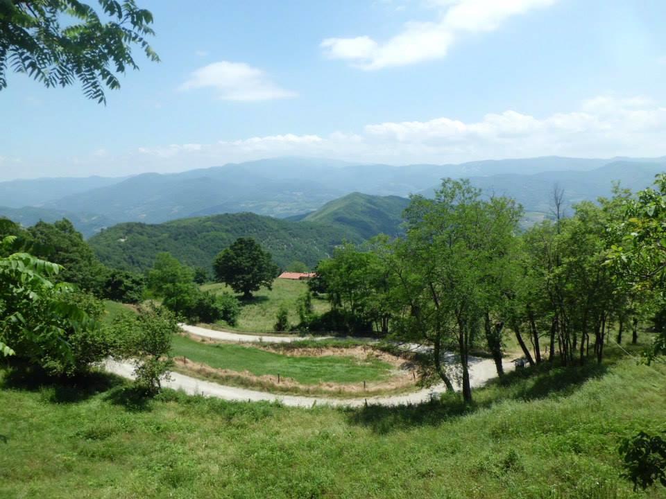 Отель Bottega Di Montegiovi Scopeti Экстерьер фото